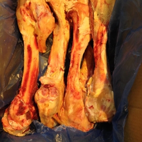 Xương ống bò ( beef leg bone )