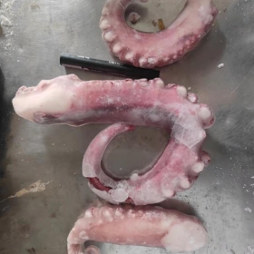 Râu tuộc ( squid tentacle )